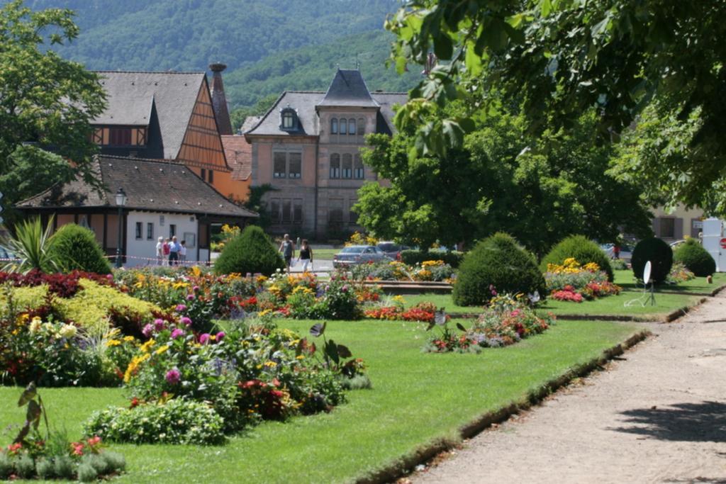 Domaine Jean Sipp Hotell Ribeauvillé Exteriör bild